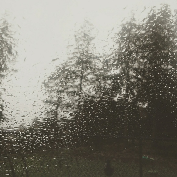 Meet your Posher, Shannon - Picture 7 of 8